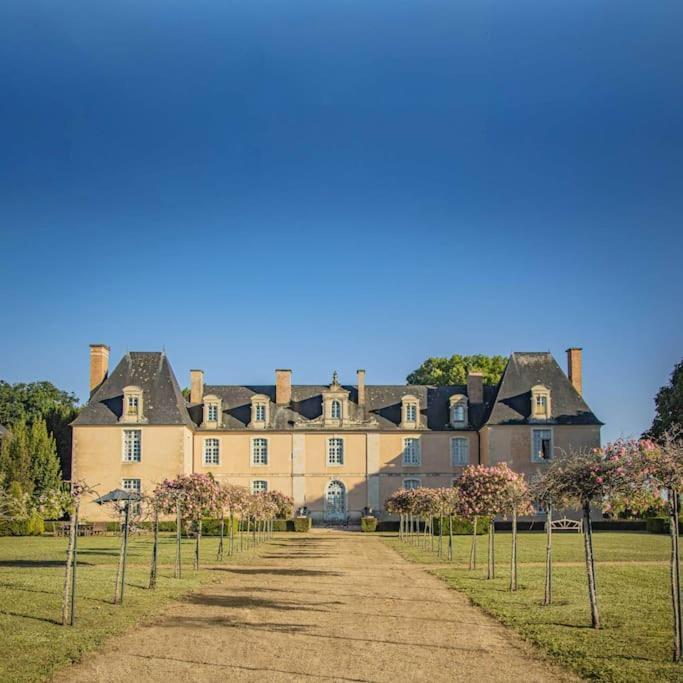 Chateau D'Ardenay Sur Merize Luaran gambar