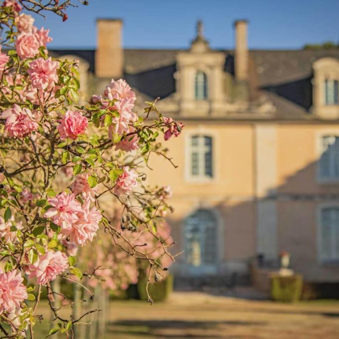 Chateau D'Ardenay Sur Merize Luaran gambar