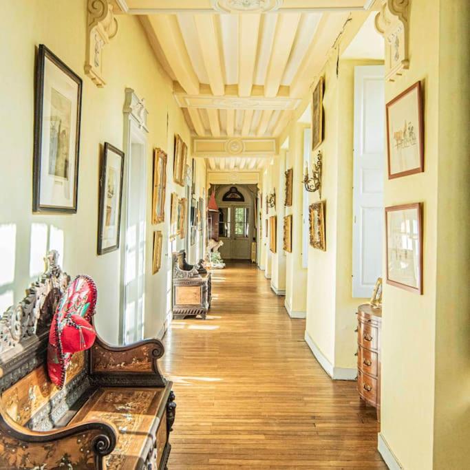 Chateau D'Ardenay Sur Merize Luaran gambar