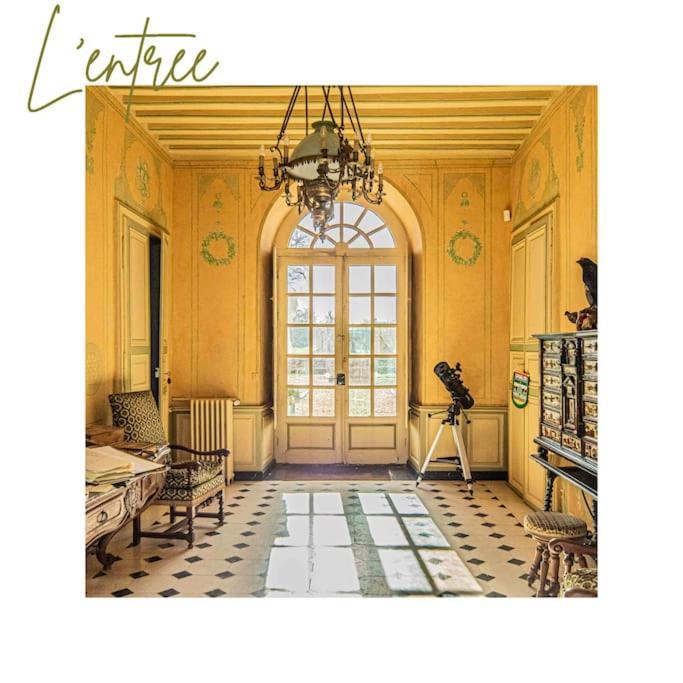 Chateau D'Ardenay Sur Merize Luaran gambar