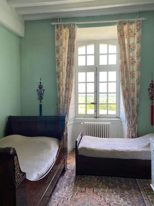 Chateau D'Ardenay Sur Merize Luaran gambar