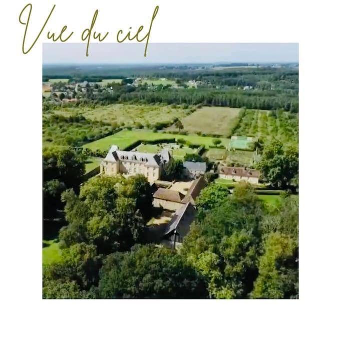 Chateau D'Ardenay Sur Merize Luaran gambar