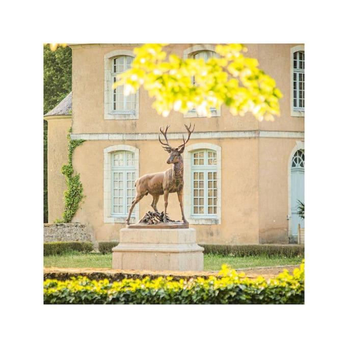 Chateau D'Ardenay Sur Merize Luaran gambar