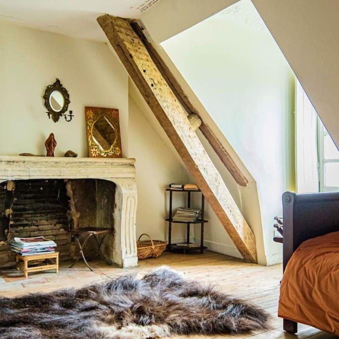 Chateau D'Ardenay Sur Merize Luaran gambar