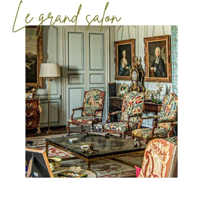 Chateau D'Ardenay Sur Merize Luaran gambar