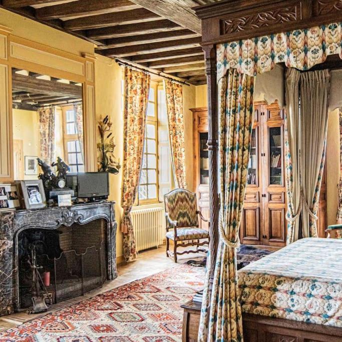 Chateau D'Ardenay Sur Merize Luaran gambar