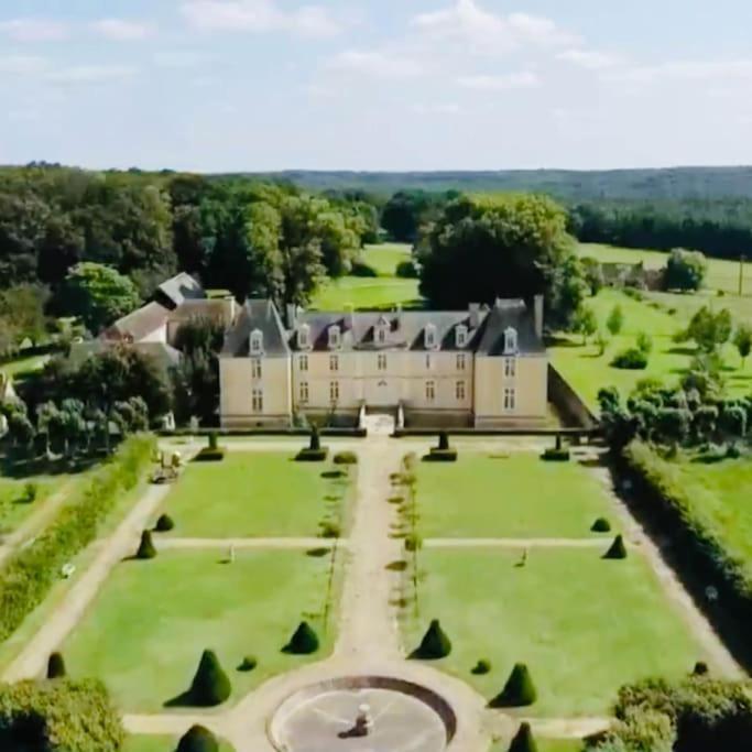 Chateau D'Ardenay Sur Merize Luaran gambar